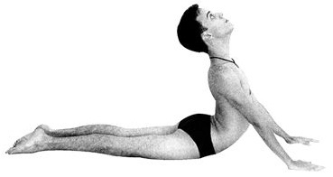 Kobros asana