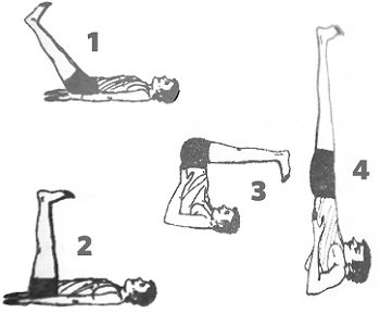 Sarvangasana