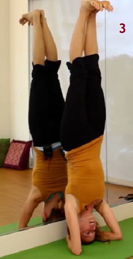 Chalasana