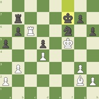 �milyt�-JS, Seimas 2026, 36 �jimas