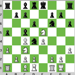 Board 11: Rafael Antonio Chedid - icantwrite