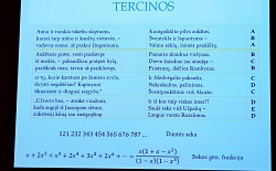 Tercinos