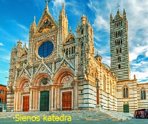 Sienos katedra