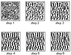 Animal skin pattern generated by Cell Automata