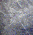 Nacza lines