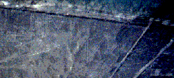 Nacza lines common view